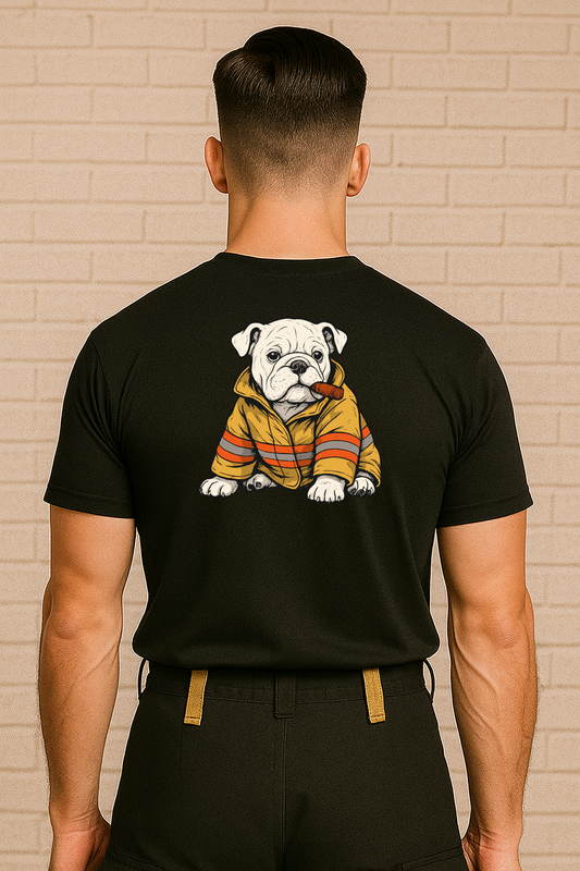 Foundations – Lil Dawg Edition